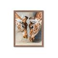 Picture of Giraffe Pals  _GroupedProduct_Rectangle_Portrait_Photography _GroupedProduct_Rectangle_Portrait_Framed_Matted_