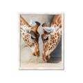 Picture of Giraffe Pals  _GroupedProduct_Rectangle_Portrait_Photography _GroupedProduct_Rectangle_Portrait_Framed_Matted_