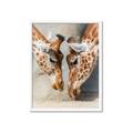 Picture of Giraffe Pals  _GroupedProduct_Rectangle_Portrait_Photography _GroupedProduct_Rectangle_Portrait_Framed_Matted_