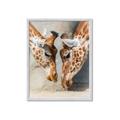 Picture of Giraffe Pals  _GroupedProduct_Rectangle_Portrait_Photography _GroupedProduct_Rectangle_Portrait_Framed_Matted_