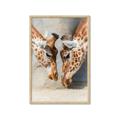 Picture of Giraffe Pals  _GroupedProduct_Rectangle_Portrait_Photography _GroupedProduct_Rectangle_Portrait_Framed_Matted_