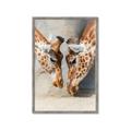 Picture of Giraffe Pals  _GroupedProduct_Rectangle_Portrait_Photography _GroupedProduct_Rectangle_Portrait_Framed_Matted_