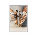 Picture of Giraffe Pals  _GroupedProduct_Rectangle_Portrait_Photography _GroupedProduct_Rectangle_Portrait_Framed_Matted_