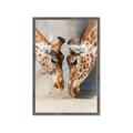 Picture of Giraffe Pals  _GroupedProduct_Rectangle_Portrait_Photography _GroupedProduct_Rectangle_Portrait_Framed_Matted_