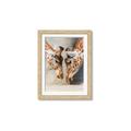 Picture of Giraffe Pals  _GroupedProduct_Rectangle_Portrait_Photography _GroupedProduct_Rectangle_Portrait_Framed_Matted_