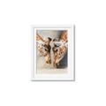 Picture of Giraffe Pals  _GroupedProduct_Rectangle_Portrait_Photography _GroupedProduct_Rectangle_Portrait_Framed_Matted_