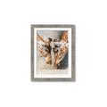 Picture of Giraffe Pals  _GroupedProduct_Rectangle_Portrait_Photography _GroupedProduct_Rectangle_Portrait_Framed_Matted_