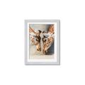 Picture of Giraffe Pals  _GroupedProduct_Rectangle_Portrait_Photography _GroupedProduct_Rectangle_Portrait_Framed_Matted_