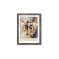 Picture of Giraffe Pals  _GroupedProduct_Rectangle_Portrait_Photography _GroupedProduct_Rectangle_Portrait_Framed_Matted_