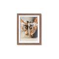 Picture of Giraffe Pals  _GroupedProduct_Rectangle_Portrait_Photography _GroupedProduct_Rectangle_Portrait_Framed_Matted_