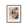 Picture of Giraffe Pals  _GroupedProduct_Rectangle_Portrait_Photography _GroupedProduct_Rectangle_Portrait_Framed_Matted_