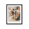 Picture of Giraffe Pals  _GroupedProduct_Rectangle_Portrait_Photography _GroupedProduct_Rectangle_Portrait_Framed_Matted_