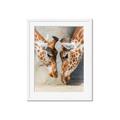 Picture of Giraffe Pals  _GroupedProduct_Rectangle_Portrait_Photography _GroupedProduct_Rectangle_Portrait_Framed_Matted_
