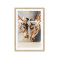Picture of Giraffe Pals  _GroupedProduct_Rectangle_Portrait_Photography _GroupedProduct_Rectangle_Portrait_Framed_Matted_