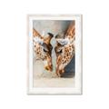 Picture of Giraffe Pals  _GroupedProduct_Rectangle_Portrait_Photography _GroupedProduct_Rectangle_Portrait_Framed_Matted_