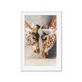 Picture of Giraffe Pals  _GroupedProduct_Rectangle_Portrait_Photography _GroupedProduct_Rectangle_Portrait_Framed_Matted_