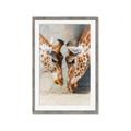 Picture of Giraffe Pals  _GroupedProduct_Rectangle_Portrait_Photography _GroupedProduct_Rectangle_Portrait_Framed_Matted_