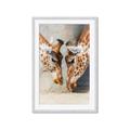 Picture of Giraffe Pals  _GroupedProduct_Rectangle_Portrait_Photography _GroupedProduct_Rectangle_Portrait_Framed_Matted_
