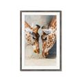 Picture of Giraffe Pals  _GroupedProduct_Rectangle_Portrait_Photography _GroupedProduct_Rectangle_Portrait_Framed_Matted_