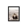 Picture of Lion Stare _GroupedProduct_Rectangle_Portrait_Photography _GroupedProduct_Rectangle_Portrait_Framed_Matted_
