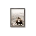 Picture of Lion Stare _GroupedProduct_Rectangle_Portrait_Photography _GroupedProduct_Rectangle_Portrait_Framed_Matted_