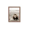 Picture of Lion Stare _GroupedProduct_Rectangle_Portrait_Photography _GroupedProduct_Rectangle_Portrait_Framed_Matted_