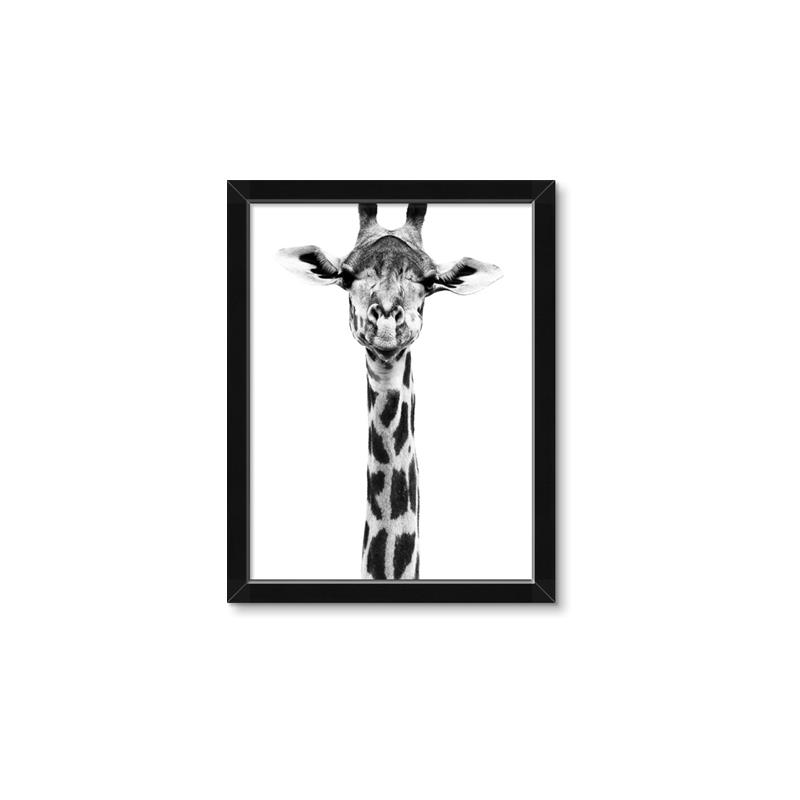 Picture of Long Neck II _GroupedProduct_Rectangle_Portrait_Photography _GroupedProduct_Rectangle_Portrait_Framed_Matted_