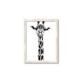 Picture of Long Neck II _GroupedProduct_Rectangle_Portrait_Photography _GroupedProduct_Rectangle_Portrait_Framed_Matted_