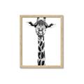 Picture of Long Neck II _GroupedProduct_Rectangle_Portrait_Photography _GroupedProduct_Rectangle_Portrait_Framed_Matted_
