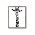 Picture of Long Neck II _GroupedProduct_Rectangle_Portrait_Photography _GroupedProduct_Rectangle_Portrait_Framed_Matted_