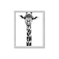 Picture of Long Neck II _GroupedProduct_Rectangle_Portrait_Photography _GroupedProduct_Rectangle_Portrait_Framed_Matted_