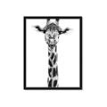 Picture of Long Neck II _GroupedProduct_Rectangle_Portrait_Photography _GroupedProduct_Rectangle_Portrait_Framed_Matted_