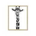 Picture of Long Neck II _GroupedProduct_Rectangle_Portrait_Photography _GroupedProduct_Rectangle_Portrait_Framed_Matted_
