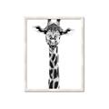 Picture of Long Neck II _GroupedProduct_Rectangle_Portrait_Photography _GroupedProduct_Rectangle_Portrait_Framed_Matted_