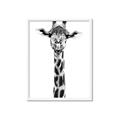 Picture of Long Neck II _GroupedProduct_Rectangle_Portrait_Photography _GroupedProduct_Rectangle_Portrait_Framed_Matted_