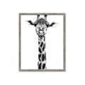 Picture of Long Neck II _GroupedProduct_Rectangle_Portrait_Photography _GroupedProduct_Rectangle_Portrait_Framed_Matted_