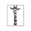 Picture of Long Neck II _GroupedProduct_Rectangle_Portrait_Photography _GroupedProduct_Rectangle_Portrait_Framed_Matted_