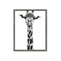 Picture of Long Neck II _GroupedProduct_Rectangle_Portrait_Photography _GroupedProduct_Rectangle_Portrait_Framed_Matted_