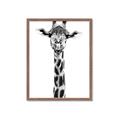 Picture of Long Neck II _GroupedProduct_Rectangle_Portrait_Photography _GroupedProduct_Rectangle_Portrait_Framed_Matted_