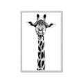 Picture of Long Neck II _GroupedProduct_Rectangle_Portrait_Photography _GroupedProduct_Rectangle_Portrait_Framed_Matted_