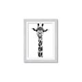 Picture of Long Neck II _GroupedProduct_Rectangle_Portrait_Photography _GroupedProduct_Rectangle_Portrait_Framed_Matted_