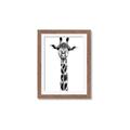 Picture of Long Neck II _GroupedProduct_Rectangle_Portrait_Photography _GroupedProduct_Rectangle_Portrait_Framed_Matted_