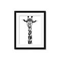 Picture of Long Neck II _GroupedProduct_Rectangle_Portrait_Photography _GroupedProduct_Rectangle_Portrait_Framed_Matted_