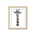 Picture of Long Neck II _GroupedProduct_Rectangle_Portrait_Photography _GroupedProduct_Rectangle_Portrait_Framed_Matted_