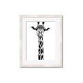 Picture of Long Neck II _GroupedProduct_Rectangle_Portrait_Photography _GroupedProduct_Rectangle_Portrait_Framed_Matted_