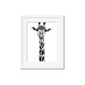 Picture of Long Neck II _GroupedProduct_Rectangle_Portrait_Photography _GroupedProduct_Rectangle_Portrait_Framed_Matted_