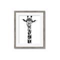 Picture of Long Neck II _GroupedProduct_Rectangle_Portrait_Photography _GroupedProduct_Rectangle_Portrait_Framed_Matted_