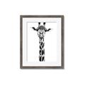 Picture of Long Neck II _GroupedProduct_Rectangle_Portrait_Photography _GroupedProduct_Rectangle_Portrait_Framed_Matted_