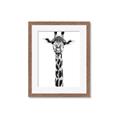 Picture of Long Neck II _GroupedProduct_Rectangle_Portrait_Photography _GroupedProduct_Rectangle_Portrait_Framed_Matted_