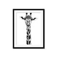 Picture of Long Neck II _GroupedProduct_Rectangle_Portrait_Photography _GroupedProduct_Rectangle_Portrait_Framed_Matted_